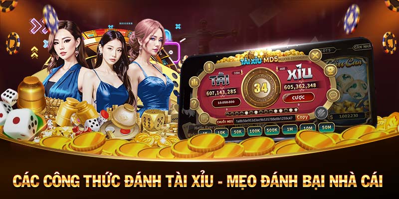 top nhà cái uy tín coi đá gà trực tiếp casino 🎰